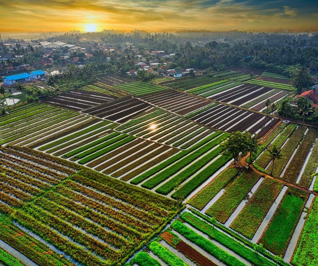Agriculture Land