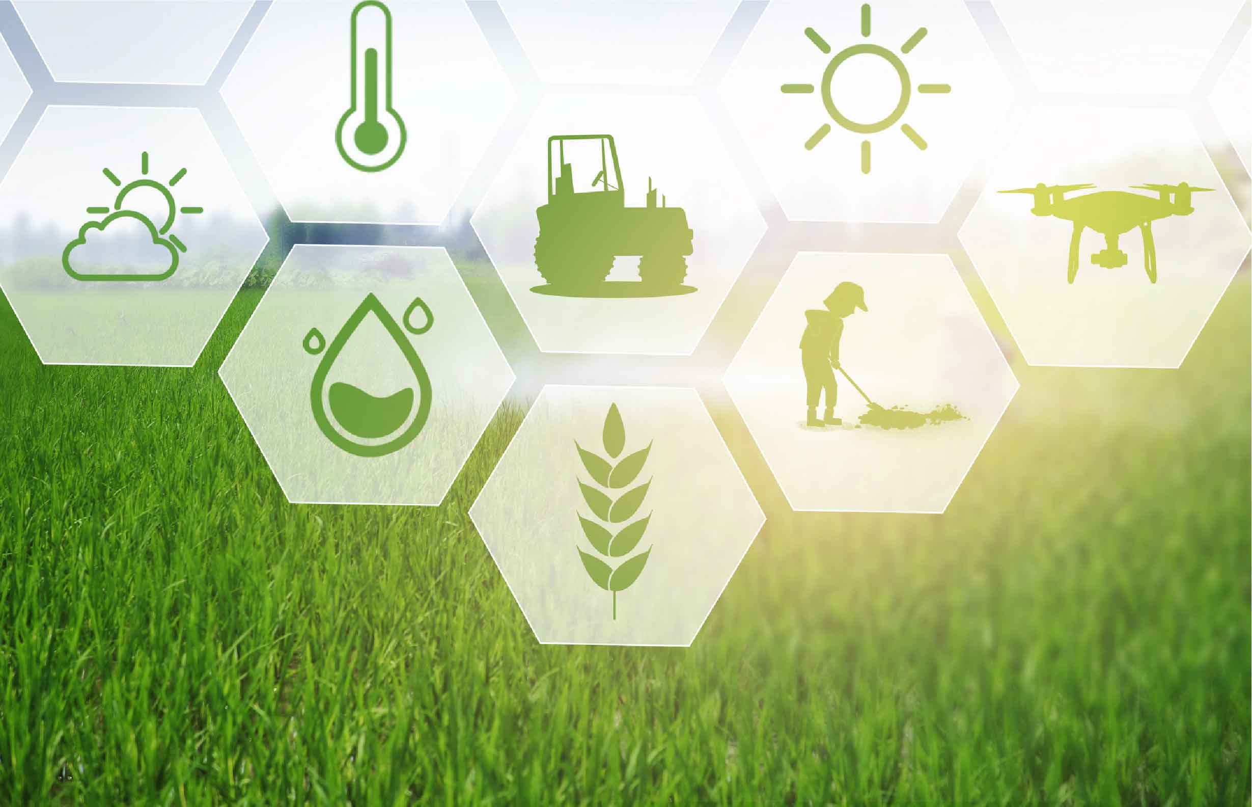 Agriculture Services​
