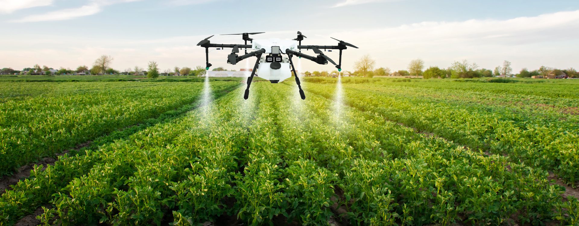 Crop Monitoring