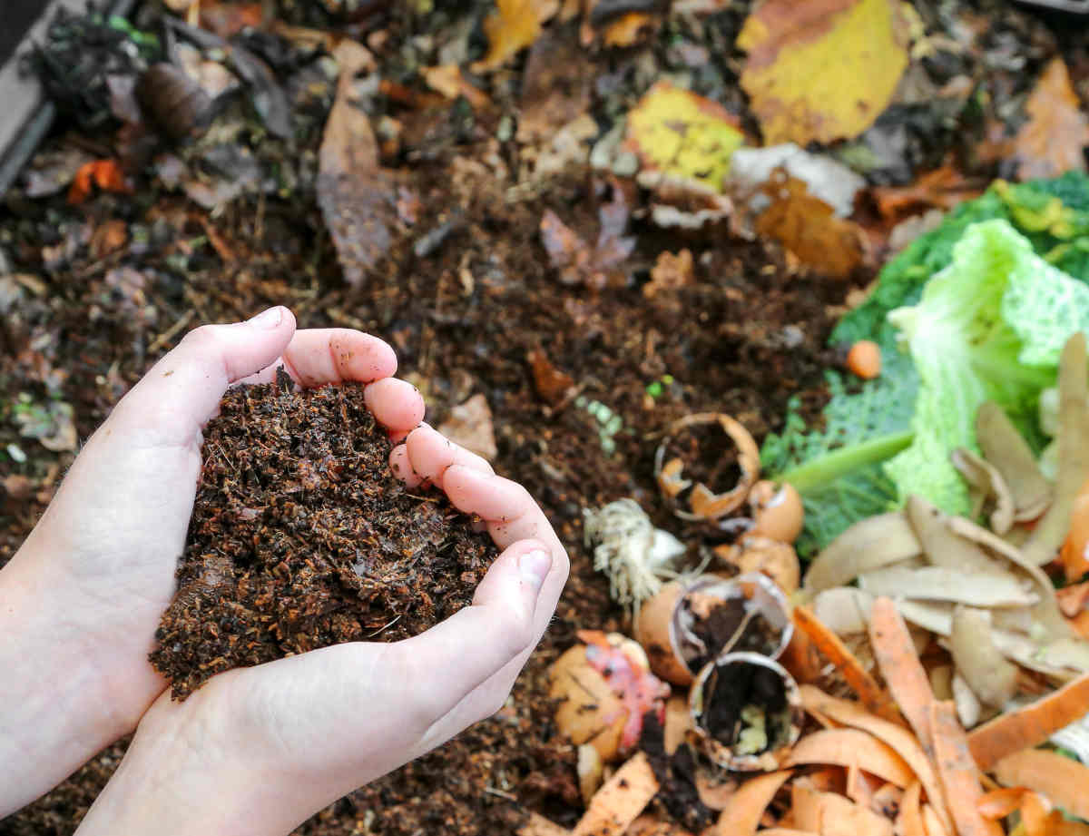 Organic Fertilizer