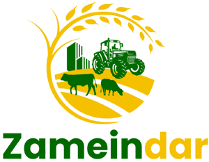 https://zameindar.com/wp-content/uploads/2025/05/footer_logo_2.png