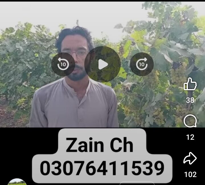 1000241509