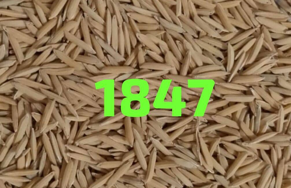 509420822_122213646482056302_3904348102757134649_n