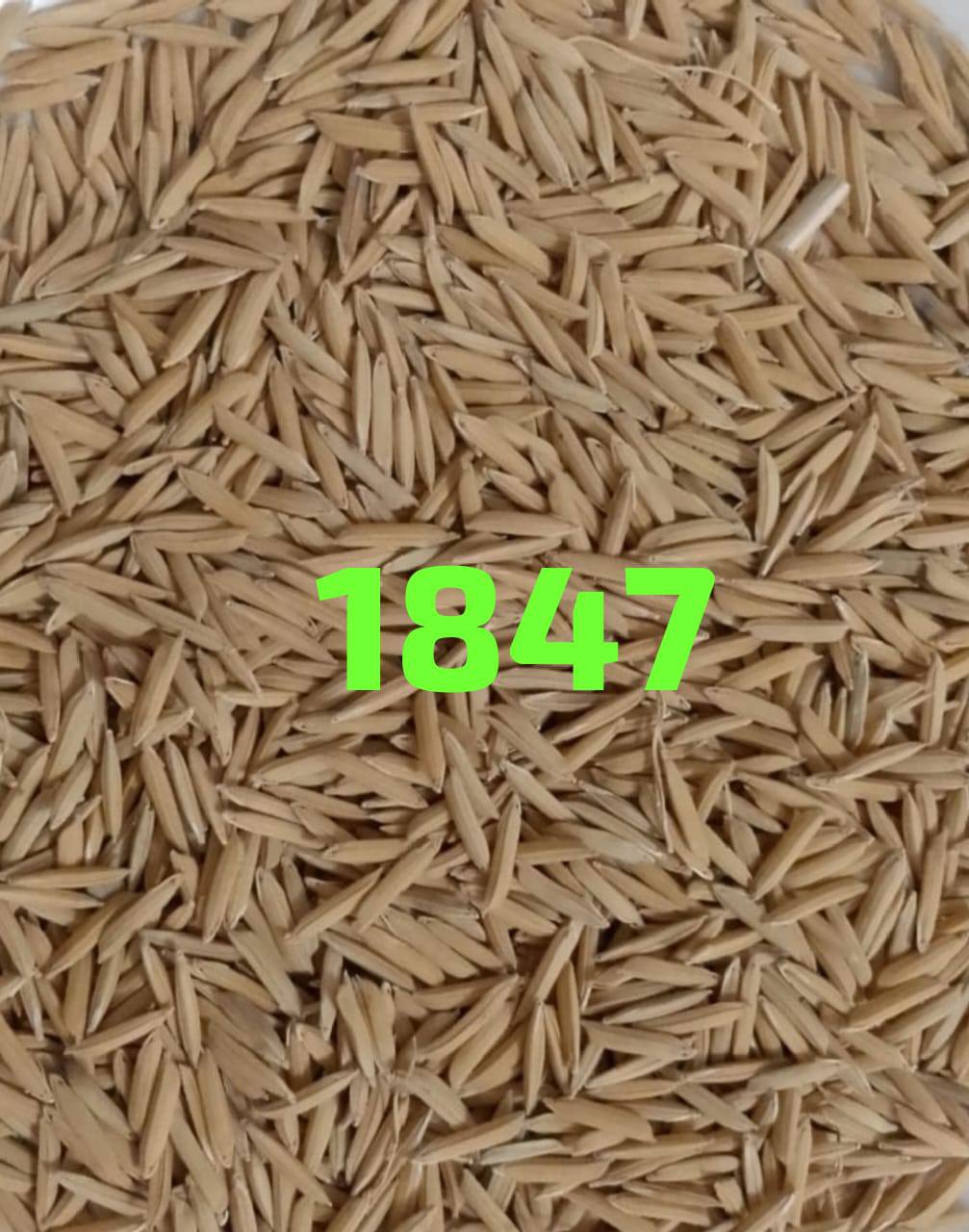 509420822_122213646482056302_3904348102757134649_n