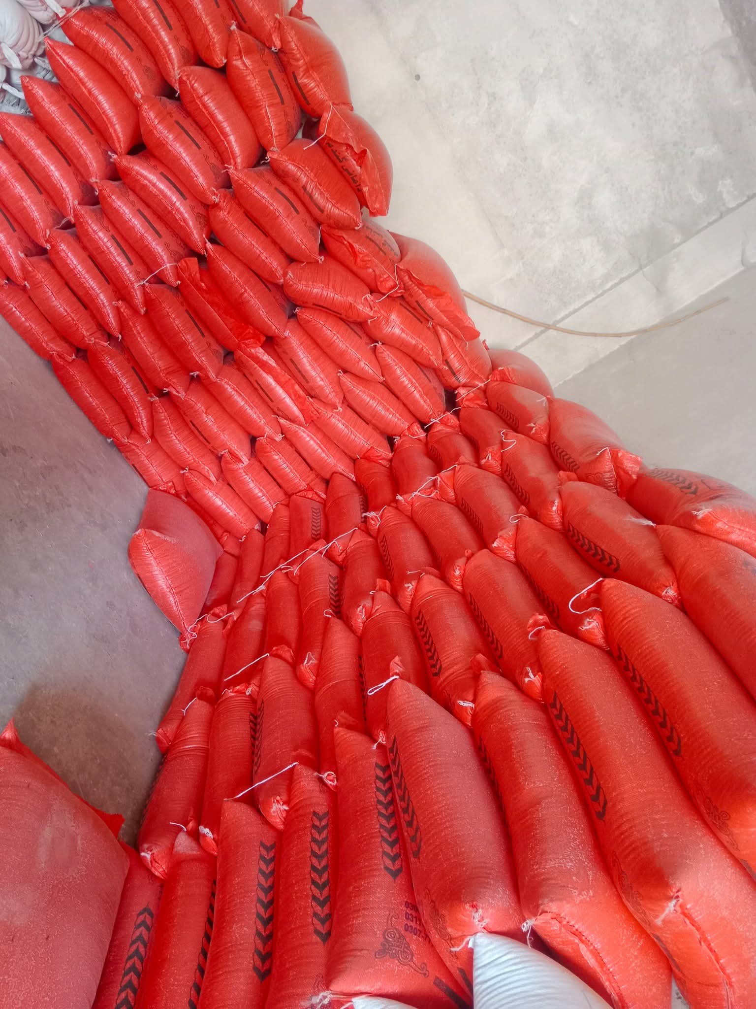 510825115_1251073386402867_1805945183032674155_n