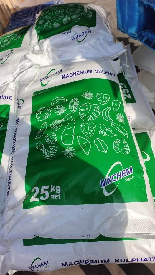 000000000000000000000000000000000000000