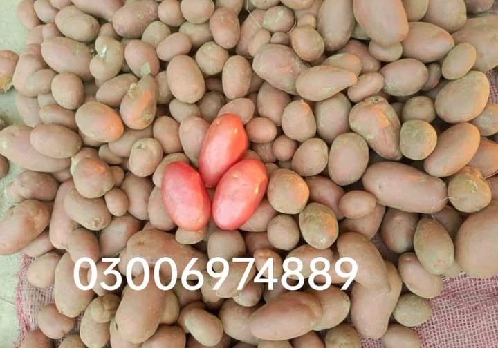 1111111111111111111-2
