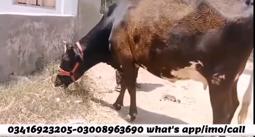 1111111111111111111111111111111111