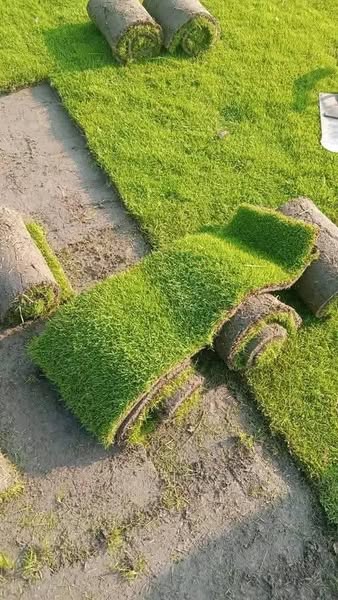 1111111111111111111111111111111111111