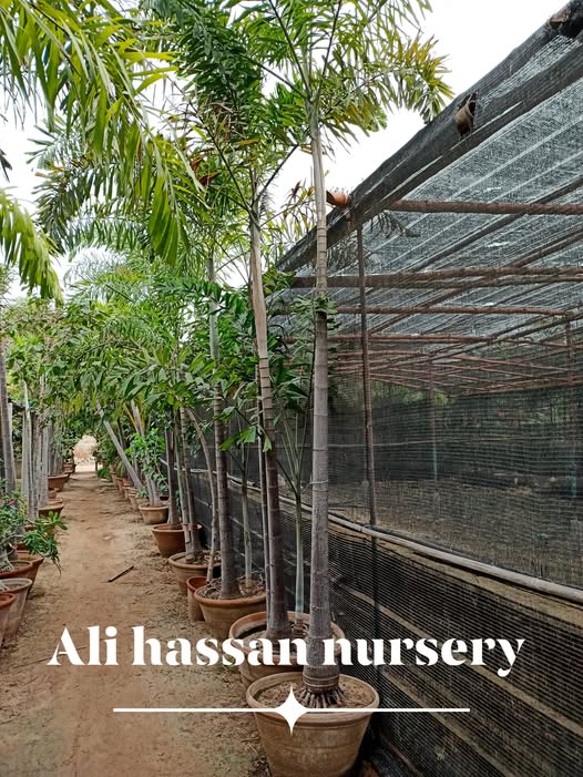 2222222222222222222222222222222-3