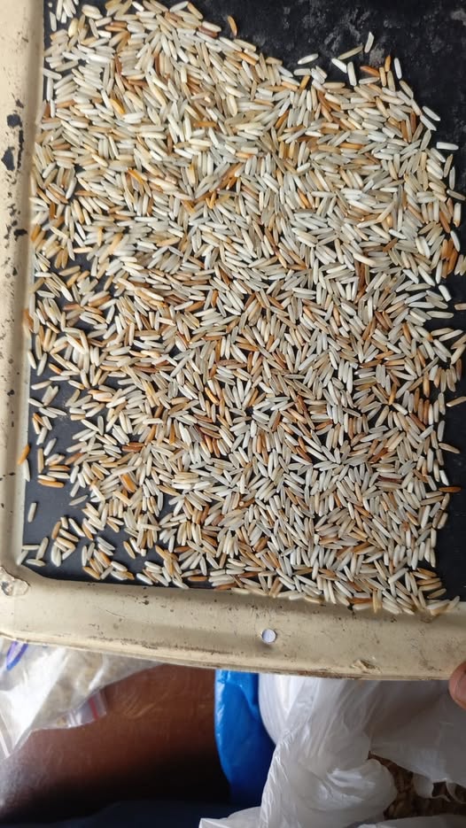 3333333333333333333-4