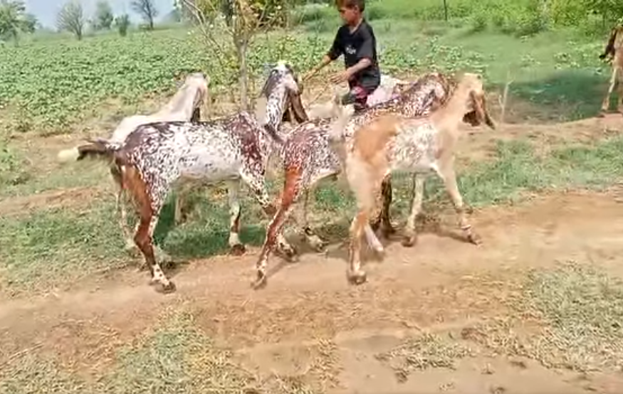 444444444444444444