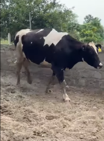 44444444444444444444444