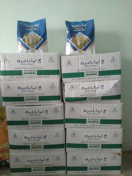 4444444444444444444444444-2