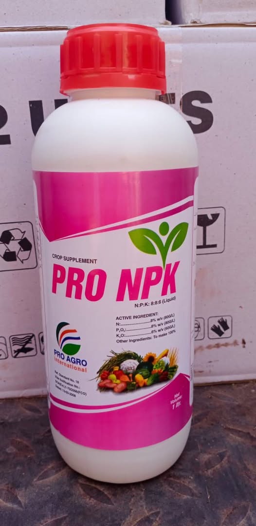 5555555555555555555555555-5