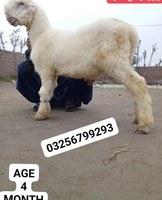 555555555555555555555555555555