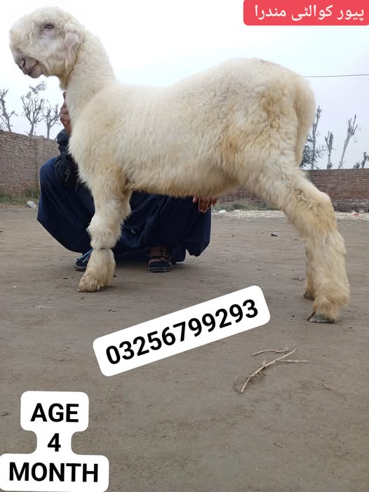 555555555555555555555555555555