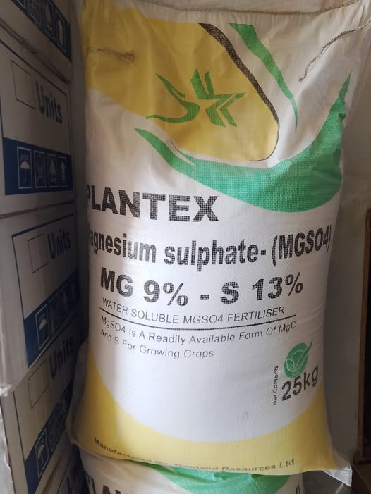 666666666666666666666666666-1