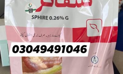 666666666666666666666666666-2