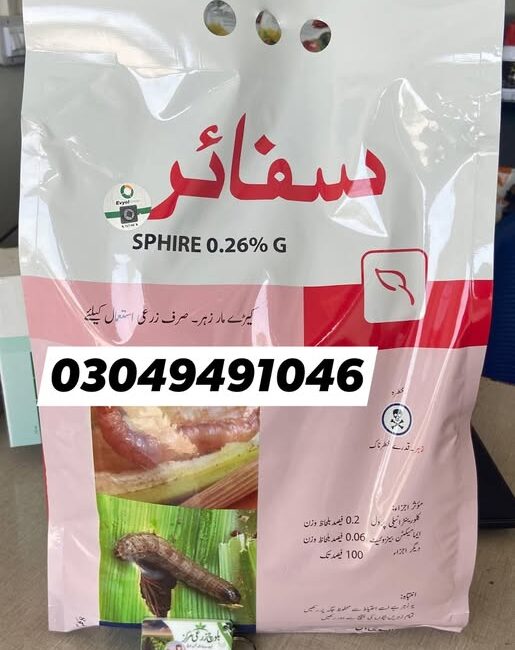 666666666666666666666666666-2
