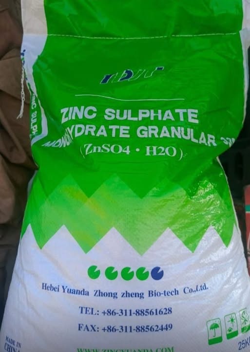 666666666666666666666666666666666