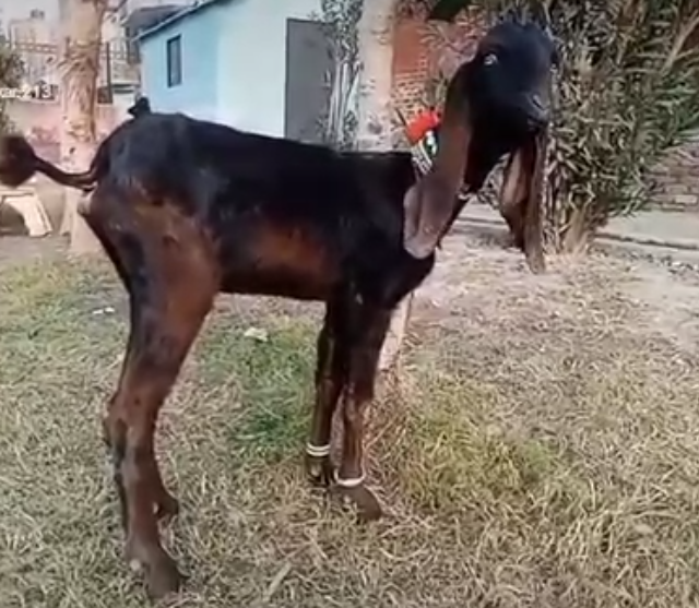 7777777777777777777