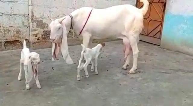 888888888888888888888