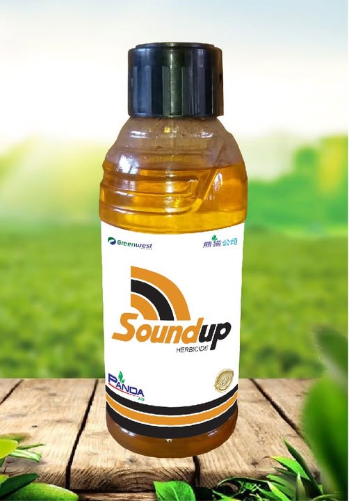 8888888888888888888888888888888888-1