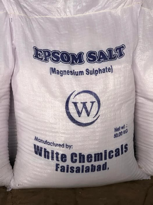 8888888888888888888888888888888888888-1