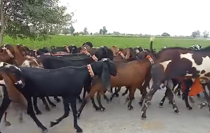 9999999999999999999999