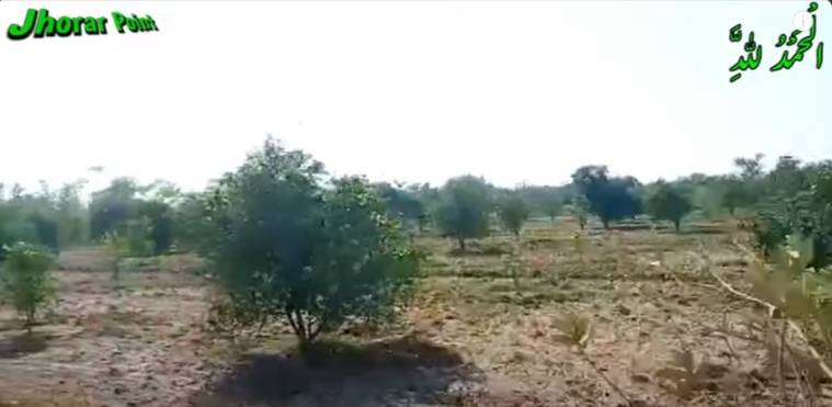 QQQQQQQQQQQQQQQQQQQQQQQQQQQQQQQQQQQQ