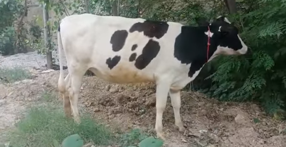 aaaaaaaaaaaaaaaaaaaaaaaaa