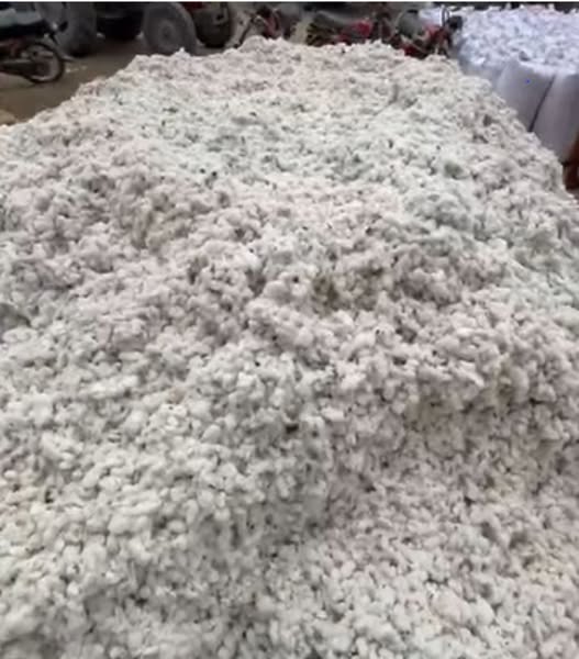 eeeeeeeeeeeeeeeeeeeeeeeeee