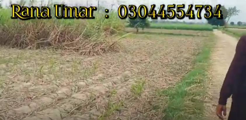 00000000000000000000