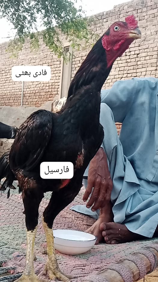 000000000000000000000000