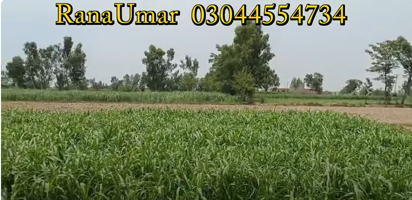 000000000000000000000000