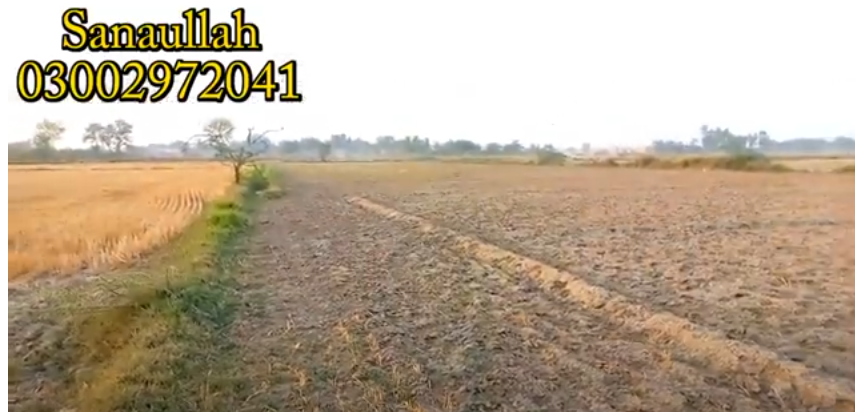 0000000000000000000000000000