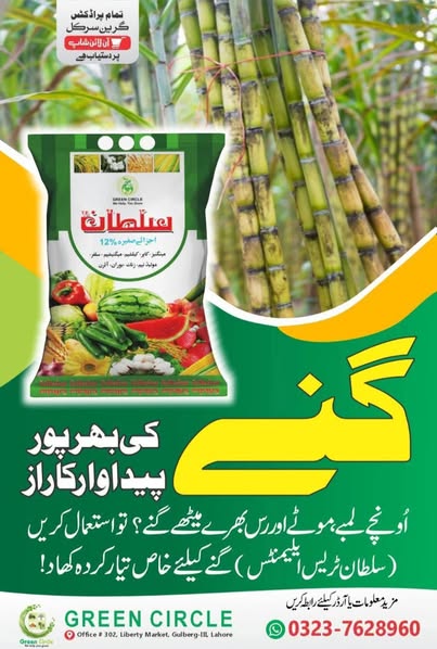 11111111111111111111111-5