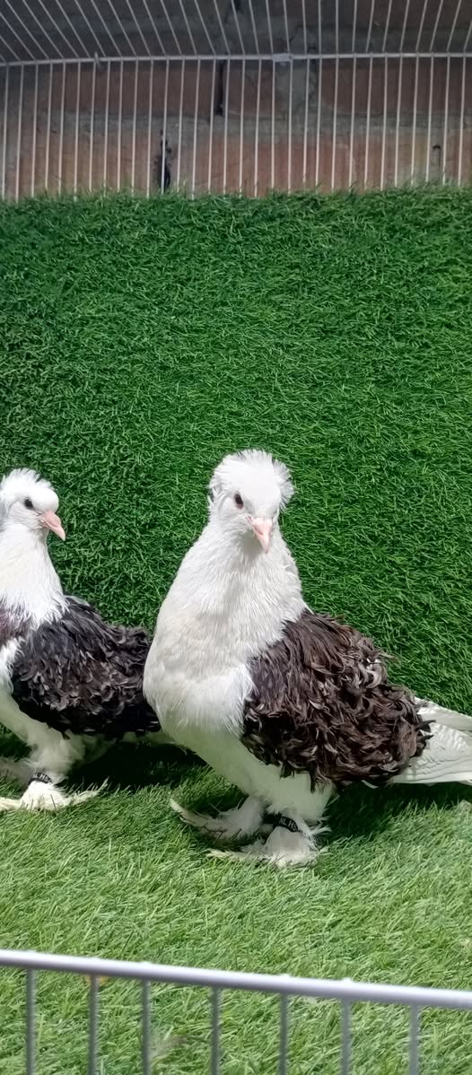 111111111111111111111111