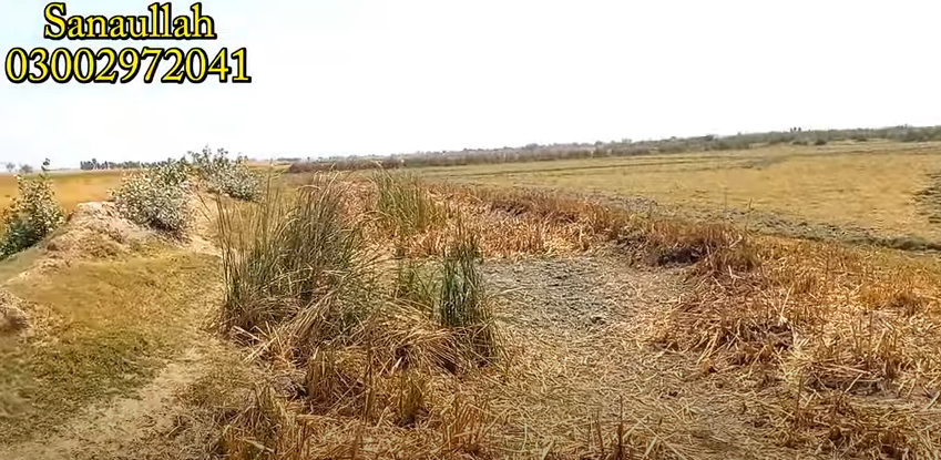 1111111111111111111111111-1