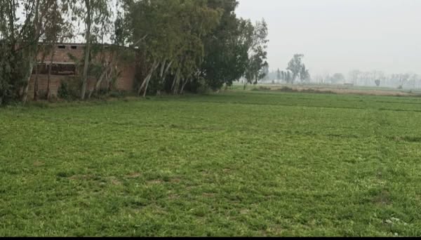 11111111111111111111111111-7