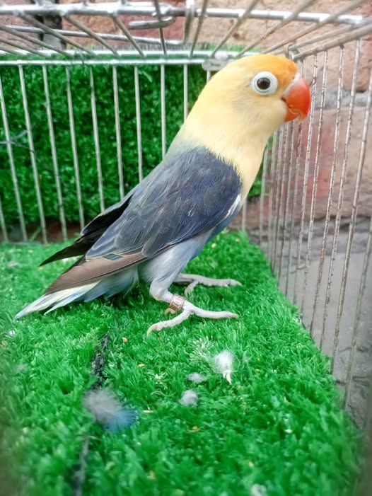 222222222222222222222