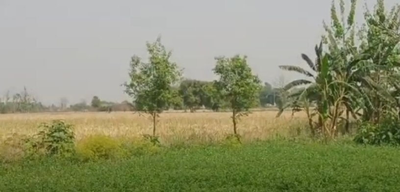 2222222222222222222222-1