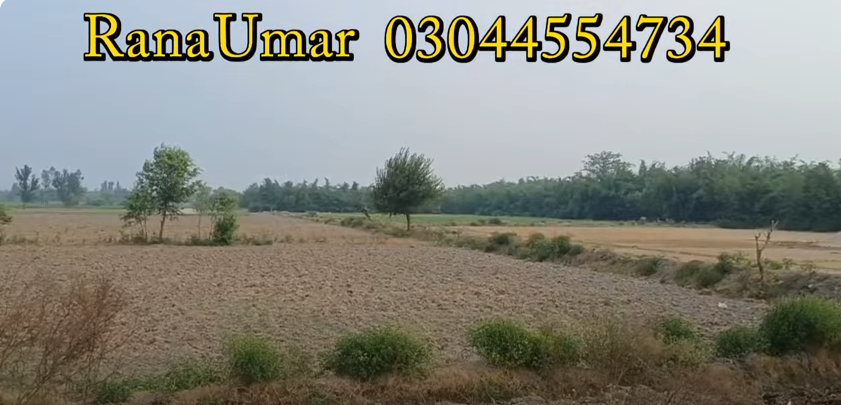 2222222222222222222222