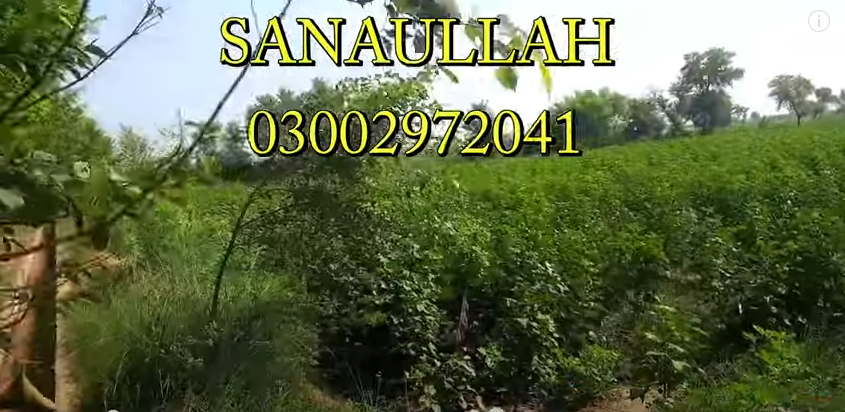 222222222222222222222222