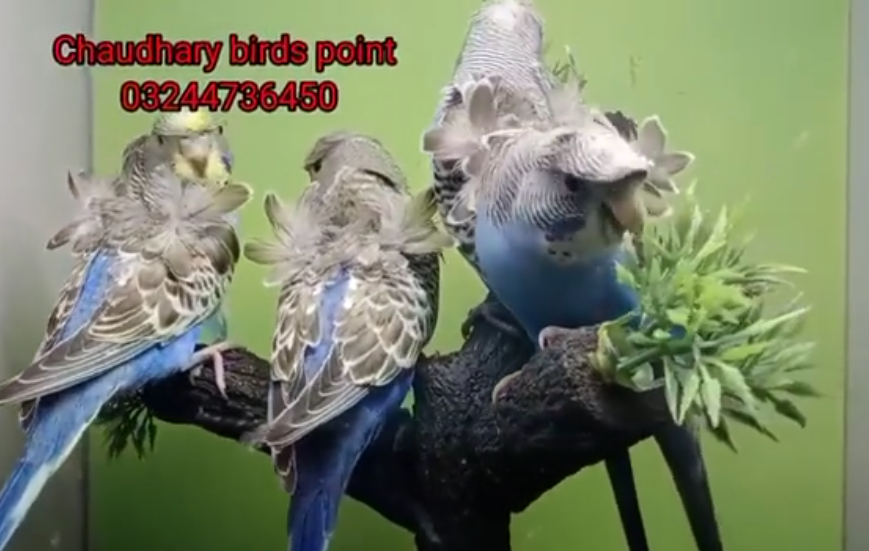 2222222222222222222222222