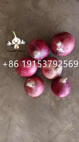 2222222222222222222222222222-2