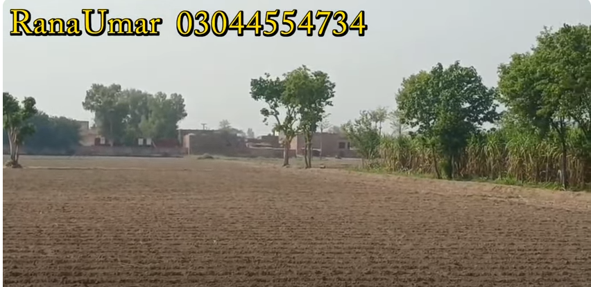 3333333333333333333333