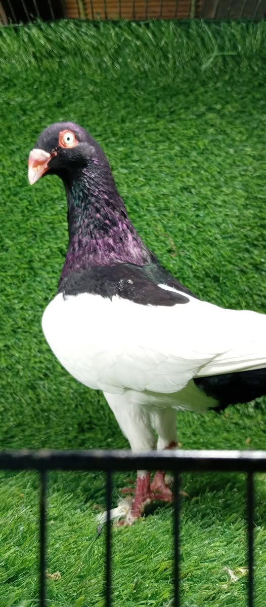 33333333333333333333333-1