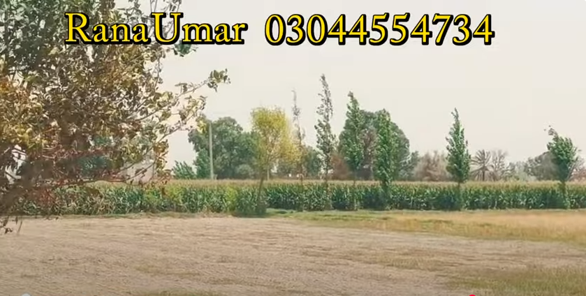 333333333333333333333333-2